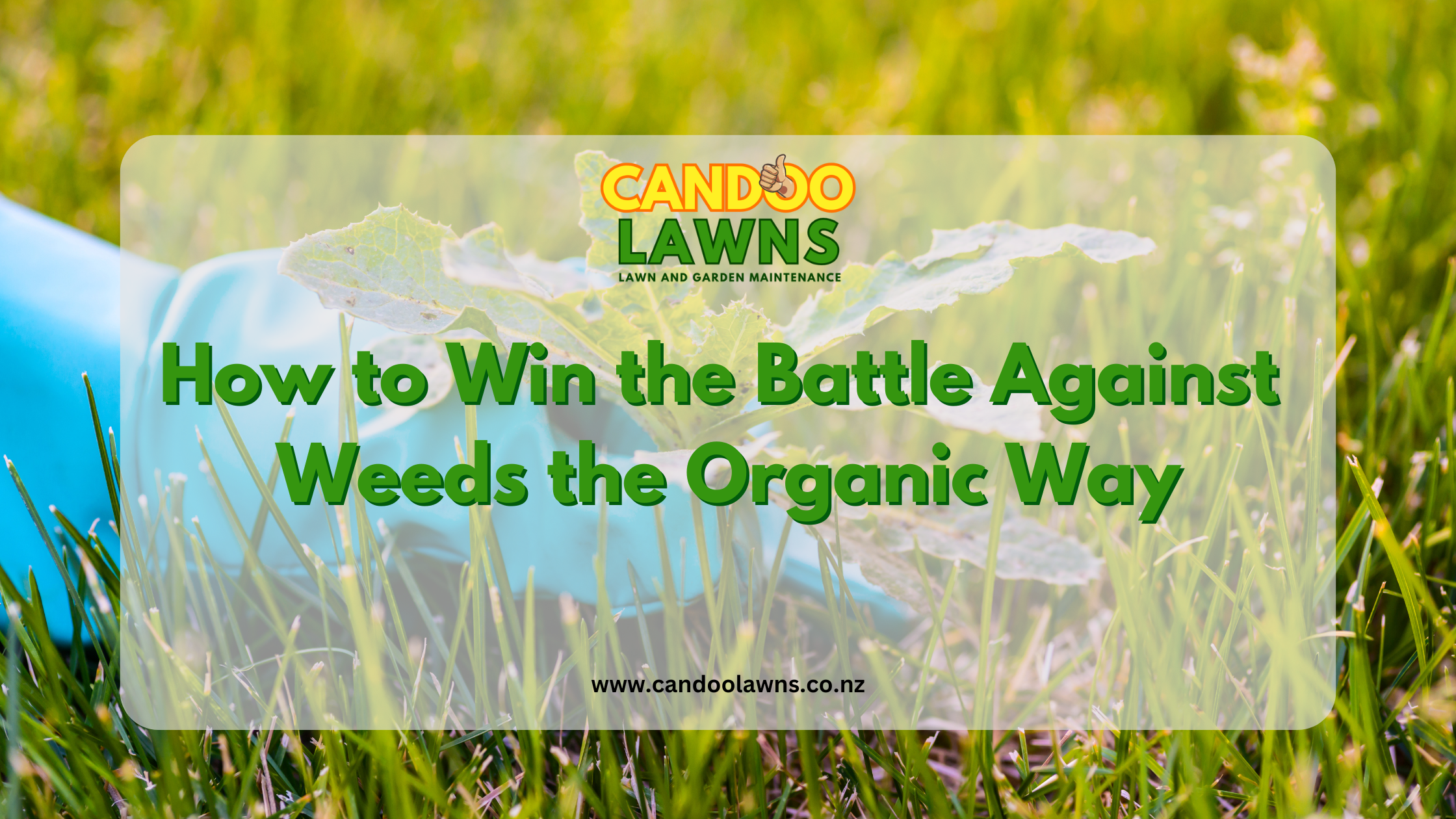 How to Win the Battle Against Weeds the Organic Way